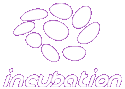 Incubation 3